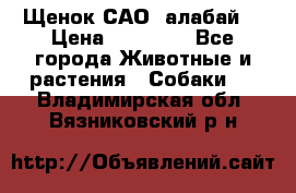 Щенок САО (алабай) › Цена ­ 10 000 - Все города Животные и растения » Собаки   . Владимирская обл.,Вязниковский р-н